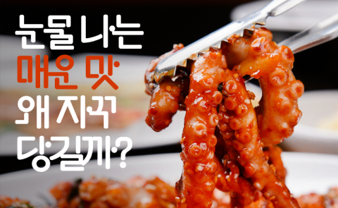 눈물 나는 매운 맛 왜 자꾸 당길까?