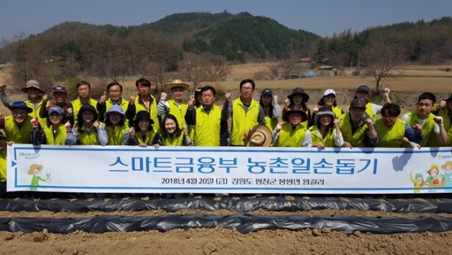 NH농협은행 스마트금융부 김남열 부장과 직원이 강원도 평창군 봉평면 원길리에 위치한 지역농가를 찾아 일손돕기를 펼쳤다. 사진=NH농협은행 제공