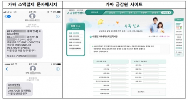 사진=금융감독원 제공