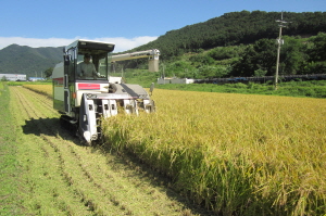 강화군, 광역시 최초 농업인 월급제 첫 지급