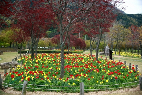 정읍시, 국도1호선 송산교차로 도시숲으로 조성