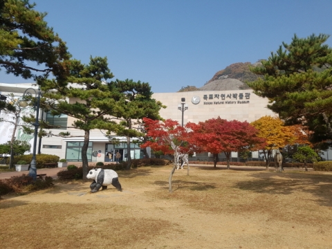 목포시, 어린이날 다채로운 프로그램 마련