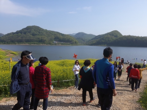 임실군, 옥정호 꽃걸음 빛바람 축제 개최