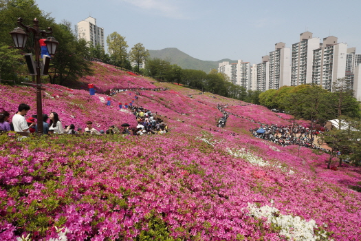 사진제공=군포시