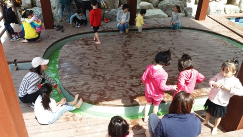 영광군, ‘물무산 행복숲’ 개장 2개월 여 만에 방문객 3만명 육박