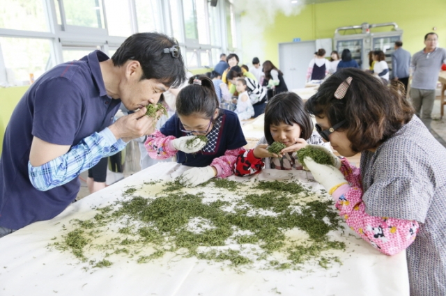 보성군, 제44회 보성다향대축제 18일 ‘팡파르’