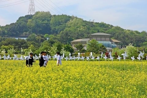 제51회 황토현동학농민혁명기념제 성료