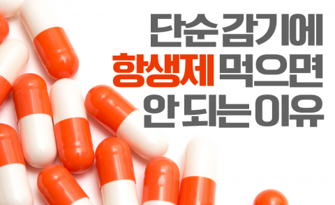 단순 감기에 항생제 먹으면 안 되는 이유