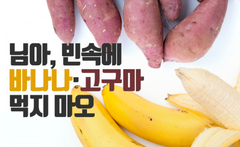 님아, 빈속에 바나나·고구마 먹지 마오