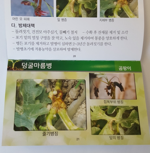 진안군농업기술센터, 수박·고추 포켓용 재배지침서 발간·배부