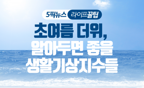 초여름 더위, 알아두면 좋을 생활기상지수들