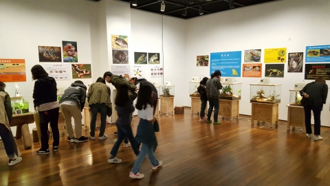 남원백두대간생태교육장 전시관, ‘꿈꾸는 물고기’ 특별전 성료