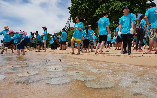 태국에서는 동남아대표법인(POSCO-SouthAsia), 가공센터(POSCO-TBPC), 스테인리스생산법인(POSCO-Thainox) 등의 임직원 100명이 파타야 해안가에서 산호초 심기 봉사활동을 실시했다. 사진=포스코 제공