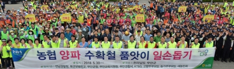농협전남본부, 민·관· 군·경 합동 양파 수확 일손돕기