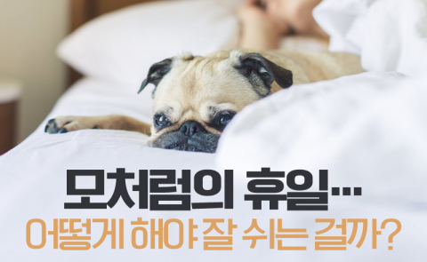 모처럼의 휴일···어떻게 해야 잘 쉬는 걸까?