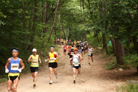 김해숲길마라톤대회, 숲향기 짙은 분성산서 질주 본능 뽐낸다