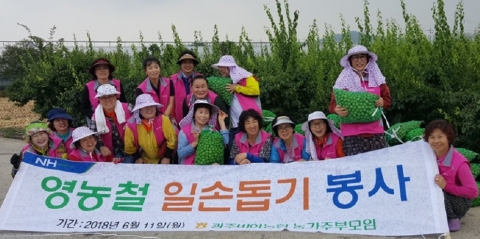 광주비아농협, 농가주부모임 ´농촌일손돕기´ 봉사