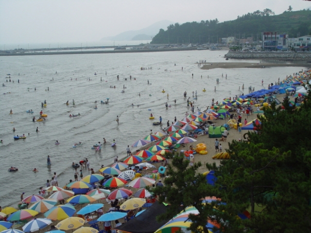 보성군, ‘율포솔밭해수욕장’ 7월 7일 개장