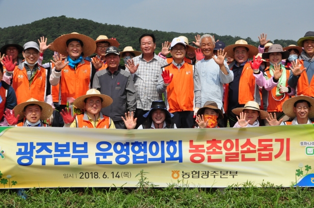 농협광주본부 운영위원회, 양파재배농가 수확 일손돕기