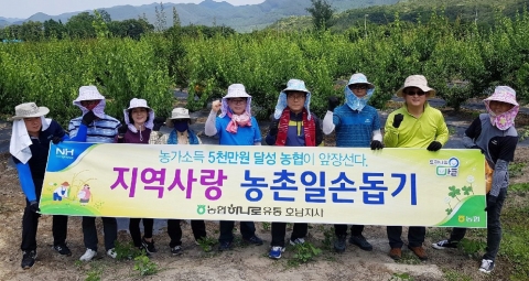 농협 하나로유통호남지사·구례교육원, 매실농가 일손돕기 구슬땀