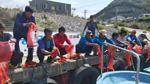 김해시, 동남참게 종묘  50만마리 방류