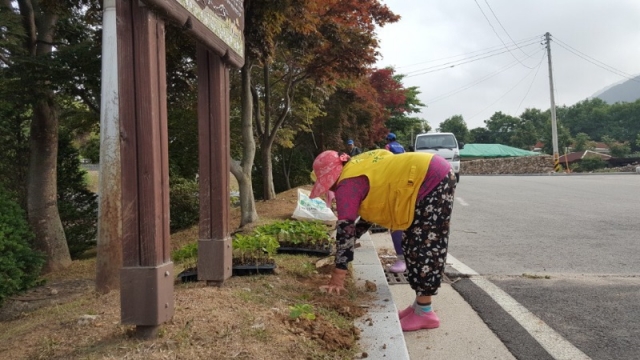 장수군, 정인승·전해산기념관 꽃묘식재 주변단장