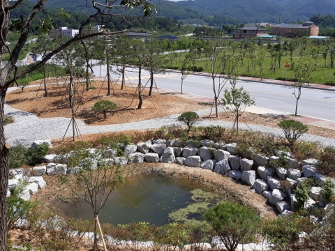 임실군, 35사단 인근 도시숲 조성