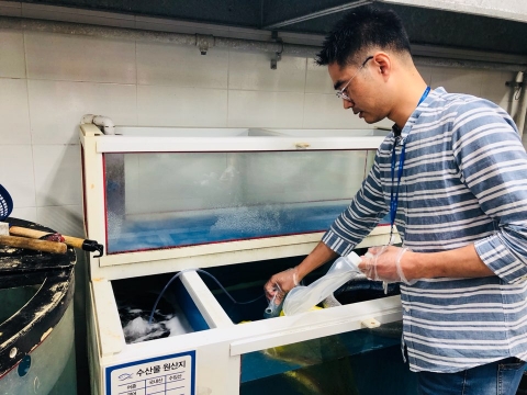 비브리오패혈증 환자 전년比 2배···어패류 섭취시 주의해야