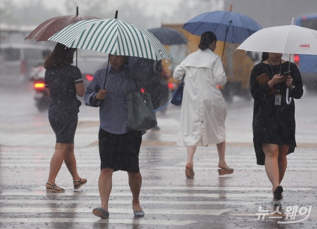 오늘(24일)부터 장마 시작···전국 흐리고 비