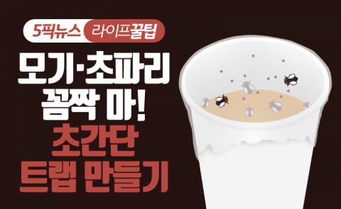 모기·초파리 꼼짝 마! 초간단 트랩 만들기