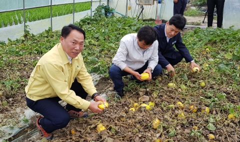 전남농협, 태풍·집중호우 피해예방 및 신속지원