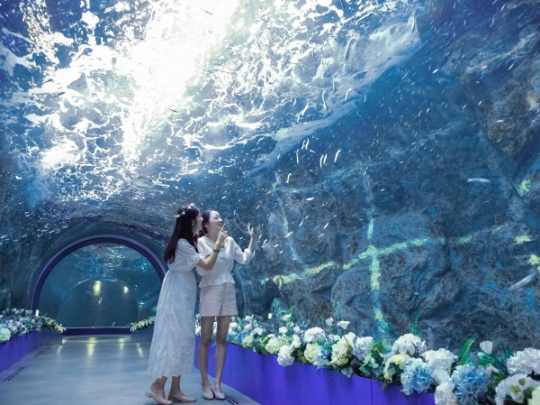 아쿠아플라넷 여수 ‘꽃길 터널’.