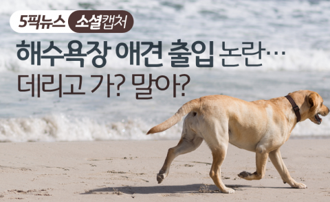 해수욕장 애견 출입 논란···데리고 가? 말아?