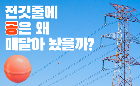 전깃줄에 공은 왜 매달아 놨을까?
