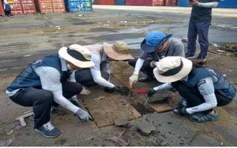 붉은불개미 추가 발견, 인천항서 일개미 70마리 또 찾아