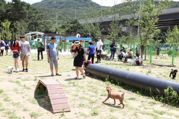안양시, ‘삼막애견공원’ 개방...전국 최대규모 반려동물 놀이터