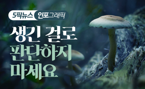 생긴 걸로 판단하지 마세요