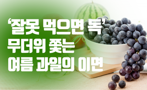 ‘잘못 먹으면 독’ 무더위 쫓는 여름 과일의 이면