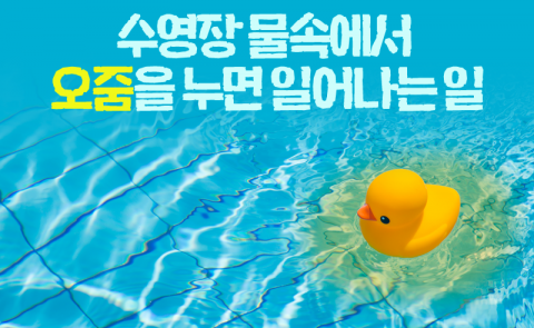 수영장 물속에서 오줌을 누면 일어나는 일