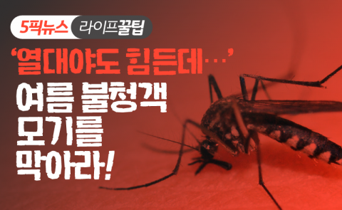 ‘열대야도 힘든데···’ 여름 불청객 모기를 막아라!