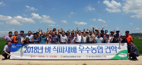 전남농협, 전국 농업인 벼 직파재배단지 현장 견학