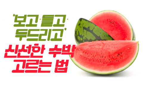 ‘보고·들고·두드리고’ 신선한 수박 고르는 법