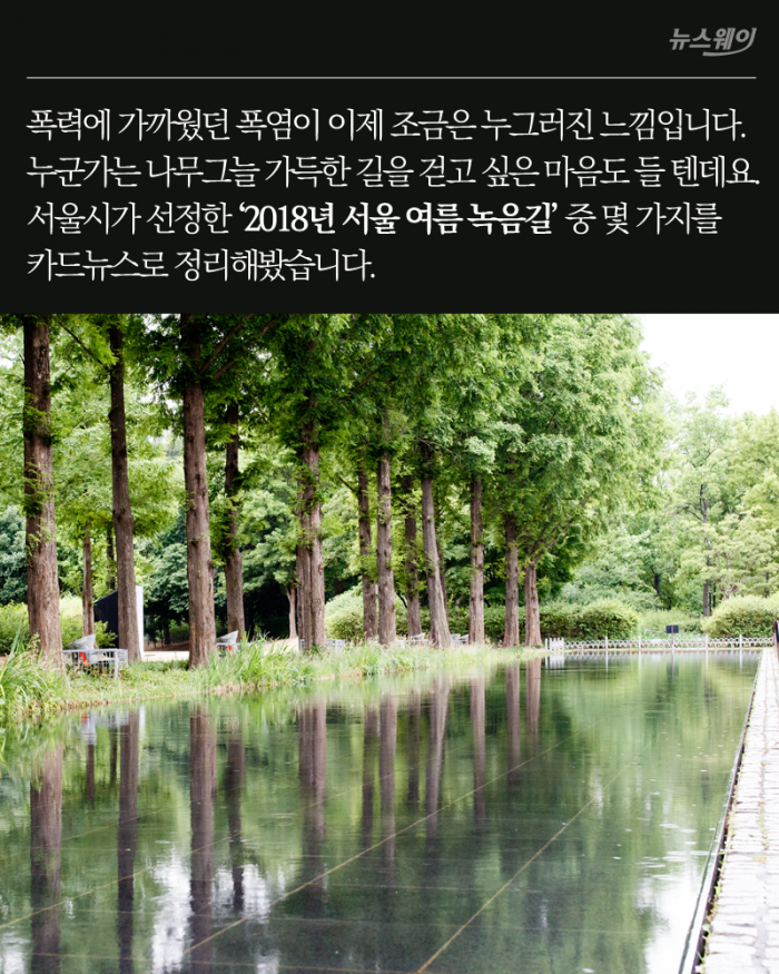 ‘이제는 걸을 수 있다’ 서울 도심 속 녹음길 8선 기사의 사진
