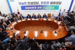 BMW 징벌적 손해배상 ‘No’···1년 전 국회서 무슨 일이