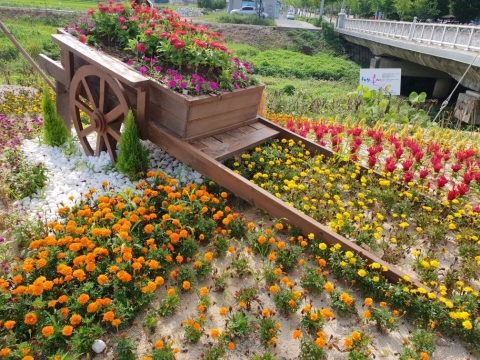 임실군, 사계절 꽃피는 거리조성 추진