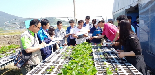 사진은 지난해 충남지역 마이스터대학에서 딸기품목을 교육하는 모습.
