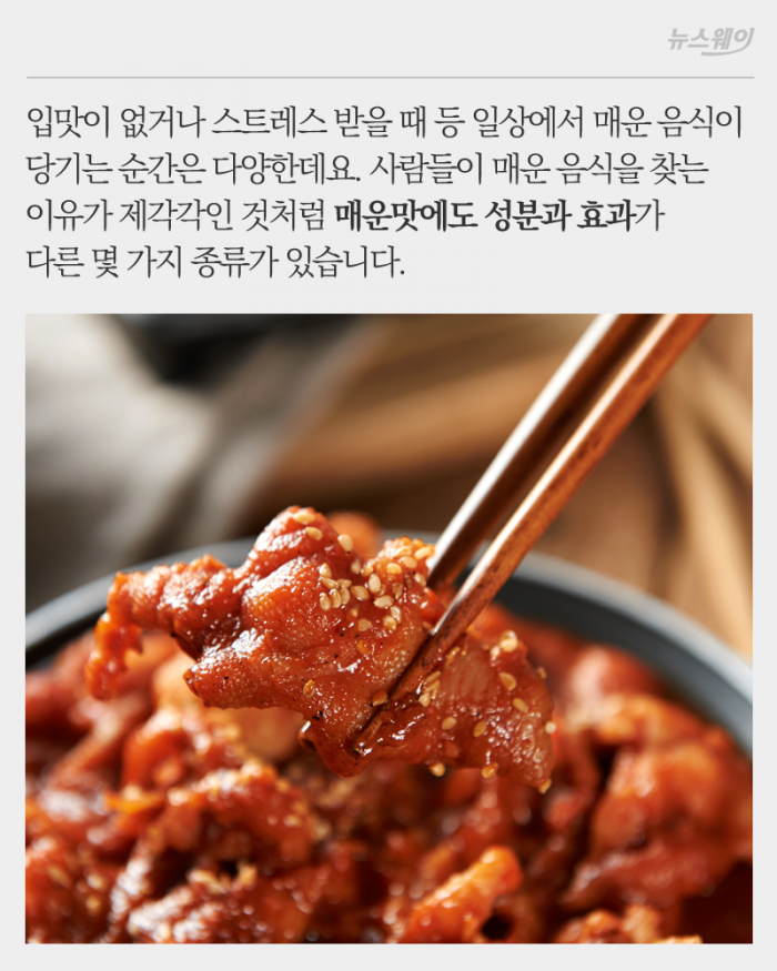 ‘오늘은 캡사이신 느낌···’ 매운맛에도 종류가 있다 기사의 사진