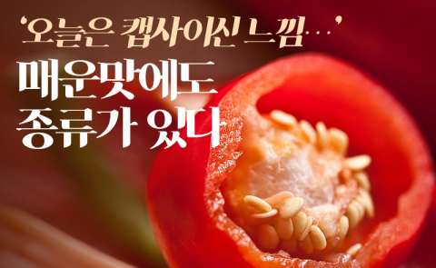 ‘오늘은 캡사이신 느낌···’ 매운맛에도 종류가 있다