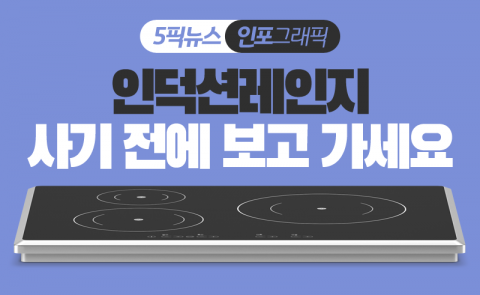 인덕션레인지 사기 전에 보고 가세요