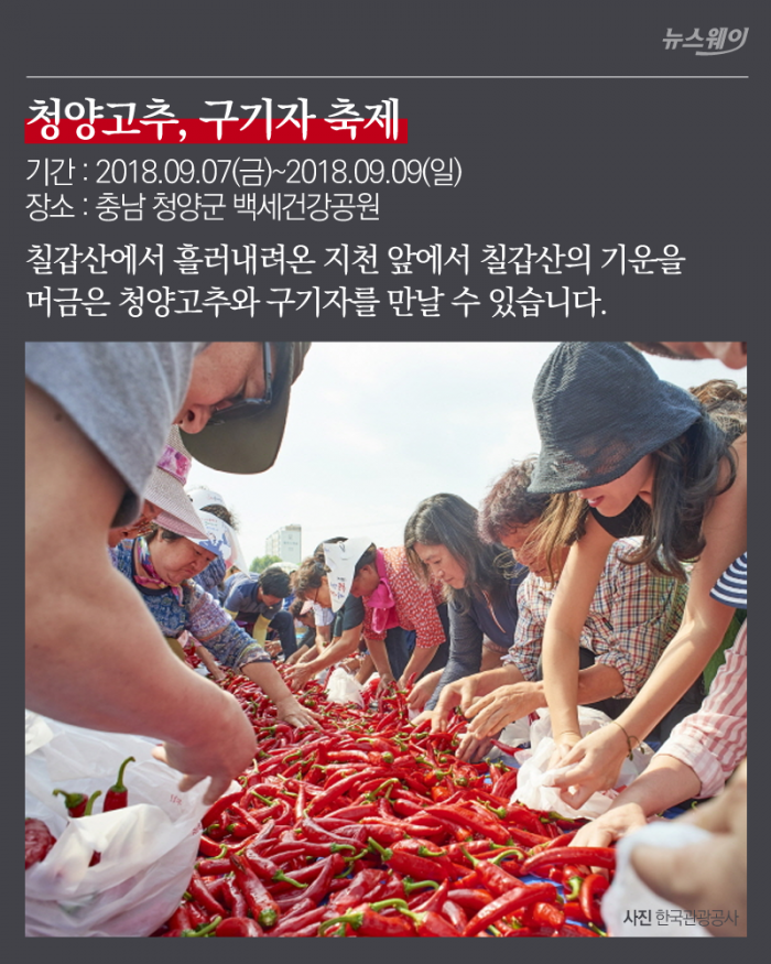 놓치면 아쉬울 9월 특산물 축제 7선 기사의 사진